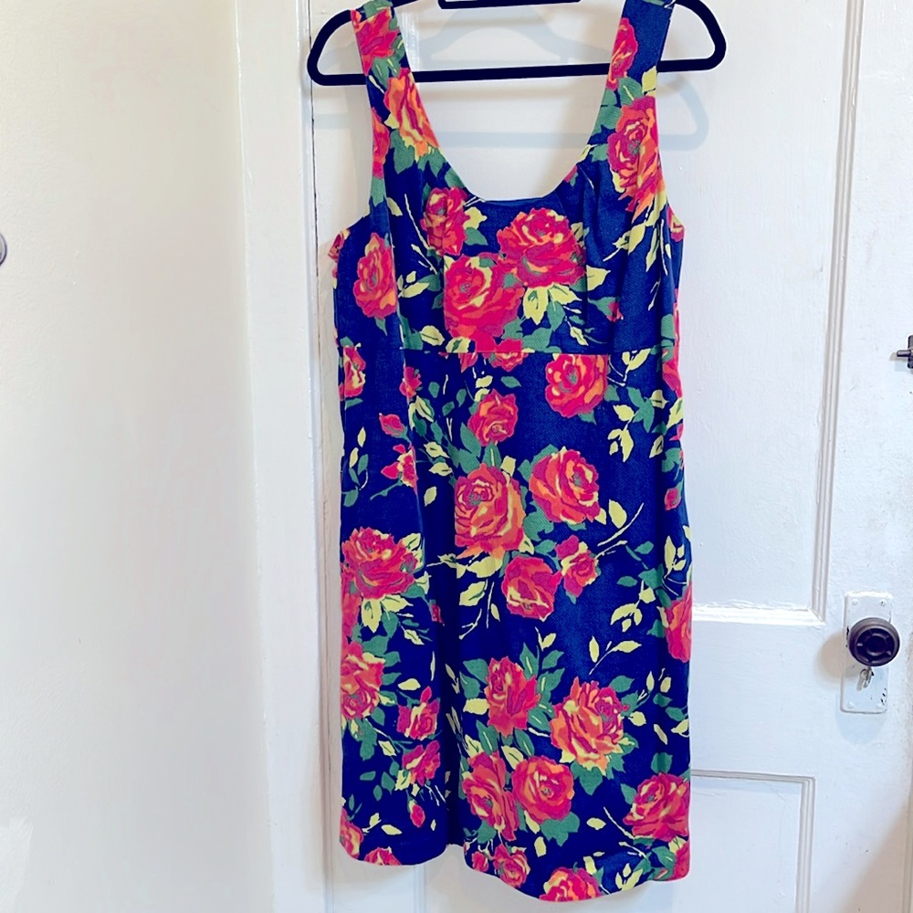 Cute Lands End cotton floral dress